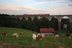 IRE 3096, Dresden-Hof, Frankensteiner Viadukt, 21.08.09  ...
