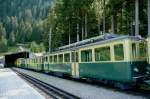 WAB - Wengernalpbahn WAB Allmend Lawinengalerie Sommer. Wengernalpbahn Zahnradbahn Haltestelle Ausweichstelle Allmend Lawinengalerie 2 Pendelzuege talwaerts warten: Triebwagen BDhe 4/4 110 von 1960 klassisch dunkelgruen-beige, BDhe 4/4 Serie 119-124 von 1970 in neuer Farbgebung 1998 grasgr�n-gelb. Linie Lauterbrunnen-Kleine Scheidegg.
