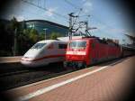 kassel-wilhelmshohe Dieses H�bsche Paar konnt ich nur mit Gl�ck Fotografieren 26.08.09