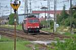 BR 155 155 154 kommt gerade die 'Berliner Kurve' hoch am Abzwg Srg/Stralsund am 14.07.09