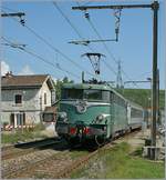 bb-25100--25150-25200 F�r mich das Highlight heute: die olivgr�ne BB 25 236 mit dem TER 96576 von Gen�ve nach Lyon bei der Durchfahrt in Russin. 
(27. August 2009)