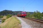Die Schienenbus-Garnitur kurz vor Koblenz zum Jubil�um der Strecke Waldshut ...