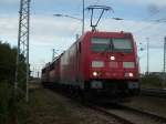 185 367 war am 31.August 2009 schon aufgeb�gelt um zu ...