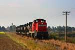 BR 294 Am morgen des 28.08.09 zieht diese 294 einen Flaschenzug richtung Garching.