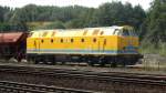 BR 229 Auf dem Weg nach Hamburg Hbf kam mir die BR 229 181-3 mit ihrem G�terzug vor die Linse. (26.08.09)