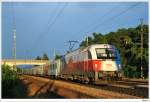1216.226 (EM-Tschechien) auf ihrer letzten Fahrt vor der Defolierung. SDZ ...
