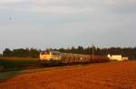 217 014 ist am ...  Mark B. 02.09.2009