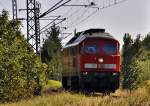 Stunden sp�ter, Lzv 232 ...  Frank Kropp 03.09.2009