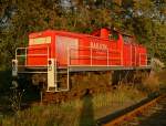 290 567-7 , aufgenommen am 3.9.09 in K�ln Gremberg kurz ...