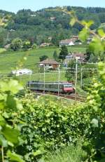 Mitten in den Weinbergen, ...  Stefan Wohlfahrt 04.09.2009