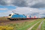 1047 008 hat am 05.09.2009 mit einem Rola
den Endbahnhof Wels ...