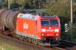 Die 185 175-7 durchf�hrt ...  Daniel Meyer 06.09.2009