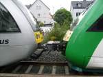 Hier wird Vectus Lint 27 Nr 208 vom Vectus GTW ...