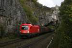 1116 176 mit G�terzug ...  Dennis Kraus 08.09.2009