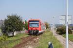 Statt der erwarteden 218 ...  Pascal Ost 09.09.2009