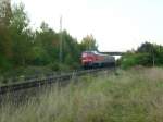 232 254-3 Verl�sst Wiesau/Opf in Richtung Regensburg  ...