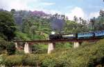 Nilgiri Mountain Railways 37 389  Coonoor River Viadukt  07.04.96