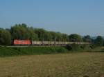 BR 185 mit Zugen 185 090-8 mit Bombardier Eigenwerbung zieht CFN 49219 Schaffhausen - Kornwestheim unweit von Singen(Htw). 08.09.09