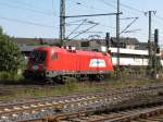 ITL 1116 239-3 f�hrt ...  Felix H�hne 10.09.2009