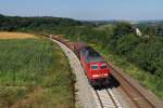 233 176 mit FIR 51772 bei Herlasgr�n (19.08.2009)  ...