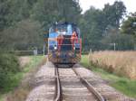 Die V100 der SWEG auf dem Weg nach B�hl (Baden) ...