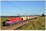 1116.013 (MAV-Cargo) mit dem 44327. Gramatneusiedl, 30.8.2009.  ...