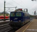 Auch ein seltener Gast: ...  Jens Baumhauer 17.09.2009