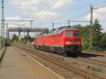 Ein Ludmilla-P�rchen mit 232 ...  Christian  17.09.2009