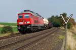233 588 mit FE 44320 bei Waldershof (25.08.2009)  ...