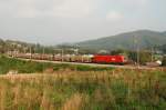 1116 276 vor dem ...  Gerhard Zant 19.09.2009