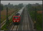 181 210 mit ihrem EC 361 bei Forchheim.  ...