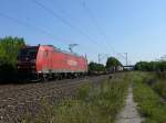 185 196-3 mit Containerzug bei Th�ngersheim, 19.08.2009  ...