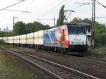 Veolia 185-CL 001 Salzgitter-Mannesmann zieht am 23.08. 09 den Warsteinerzug durch ...