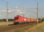 Ein ITL-Taurus (1116 238-5) ...  Christian  24.09.2009