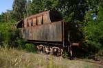 Diese 50 35 ist fast vollst�ndig eingewachsen, gesehen am 12.09.09 im ...