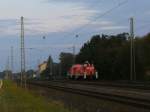 Hier ein Lokzug bestehend aus 294 und 363. 24.09.2009 Mangolding ...
