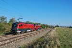 1x16-werbeloks 1116 202 und 116 201 kamen am 25.09.2009 nach Zulassungfahrten in Ungarn, als Lokzug zur�ck nach Wien. Die Aufnahme entstand in der N�he von Parndorf.