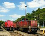 BR 203 Einer der wohl dreckigsten Maschinen der ganzen DB ist zweifelsohne 290 515. Die Lok posierte am 05.08.2009 im Bahnhof von Lobenstein (Th�r.) neben einer modernisierten 203...ob die Maschine in wenigen Jahren auch so aussieht wie die 290?! 