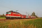 br-1142 1142 680 brachte am 28.09.2009 den REX 9312 von Stockerau nach Gm�nd N�. Die Aufnahme entstand zwischen Stockerau und Hausleiten.