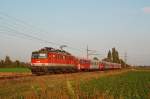 br-1142 1142 646 brachte am 28.09.2009 den ER 9314 von Stockerau nach Gm�nd N�. 
Die Aufnahme entstand zwischen Stockerau und Hausleiten.