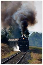 br-30 Full Steam Ahead: Mit Bravour nahm die ehemalige Wiener Stadtbahnlok 30.33 am 27.9.2009 die 27 %o Steigung des Mollmannsdorfer Berg im Weinviertel in Angriff. Die Aufnahme zeigt R 16002 von Wien nach Ernstbrunn am 27.9.2009 auf der Landesbahn zwischen Korneuburg und Ernstbrunn kurz nach Mollmannsdorf. Von Wien bis Korneuburg wurde dieser Zug vom Geb�cktriebwagen 4061.13 bespannt. Die 1897 in der Wiener Neust�dter Lokomotivfabrik unter der Fabriksnummer 4027 gebaute, und heute im Eisenbahnmuseum Strasshof beheimatete 30.33, kam 1934 zur GKB und wurde dort 1960 ausgemustert. Bis 1973 versah sich noch als Werkslok 600.2 bei der VOEST Dienst. Mit ihren 709 PS erreicht sie eine H�chstgeschwindigkeit von 60 km/h.