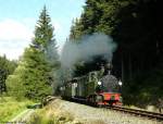 Nach einem Sprint durch den Wald zwischen Schmalzgrube und Loreileifelsen ...
