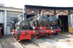 Zum Dampflokfest haben das Eisenbahnmuseum Heilbronn die Pforten am Wochenende ...