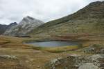 In einem kleinem Bergsee spiegelt sich der Berninazug 1646.
(17.09.2009)  ...