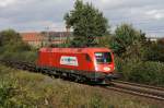 1116 239 mit einem ...  Roland Vasel 09.10.2009