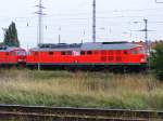 In Magdeburg Rothensee war die Lok 313 der MEG am ... In Magdeburg Rothensee war die Lok 313 der MEG am ...