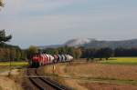 294 660 mit G�terzug am 09.10.2009 bei Hirschau (Strecke Amberg-Schnaittenbach) ...