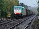 Die Cobra E186 196 ...  Mario Sch�rholz 13.10.2009