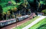11801 Wassen 09.10.81   ...