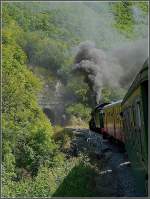 Der PFT Museumszug mit der P 8 Dampflok 64.169 n�hert ...